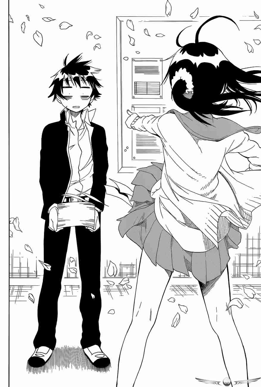 Nisekoi Chapter 75 Gambar 19
