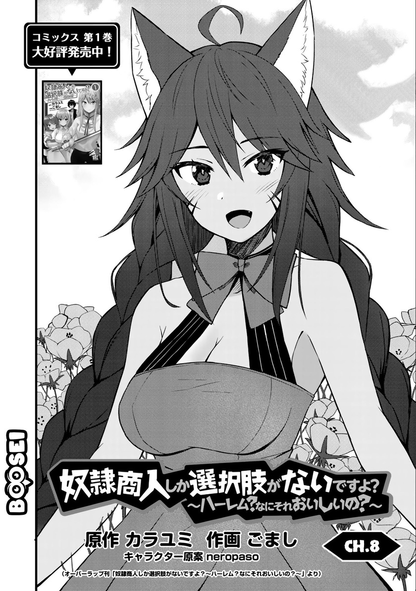 Dorei Shounin shika Sentakushi ga nai desu yo? ~Harem? Nani sore oishii no?~ Chapter 09 Gambar 3
