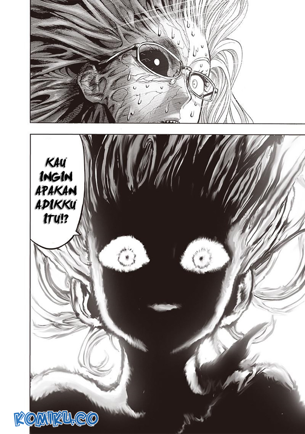 One Punch Man Chapter 186 14