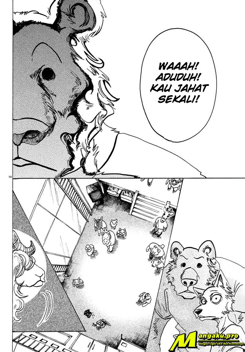 Beastars Chapter 81 Gambar 13