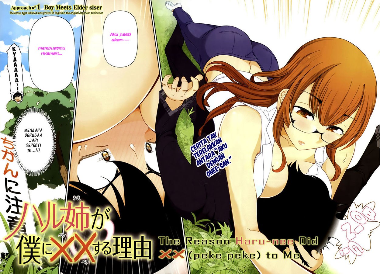 Haru-nee ga Boku ni xx Suru Riyuu Chapter 01 Gambar 3