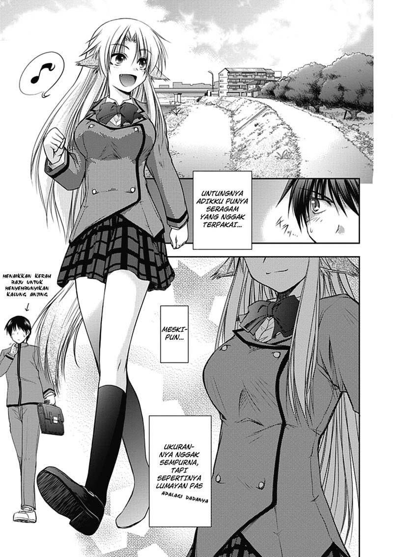 Perowan! Hayashinasai! Goshujinsama Chapter 02 Gambar 8