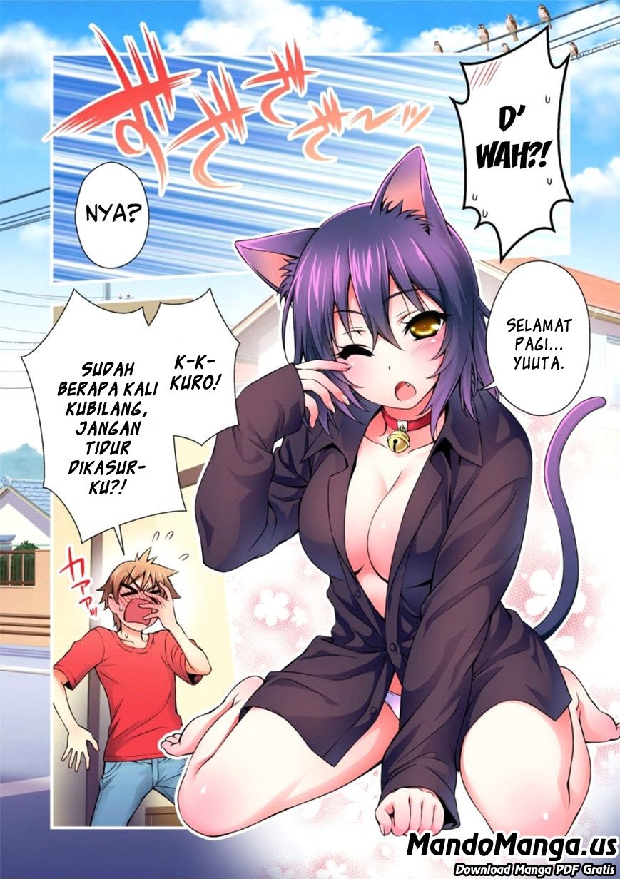 Nikukyuu! Chapter 01 Gambar 5