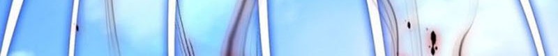I Have Nine Female Disciples Chapter 33 Gambar 17