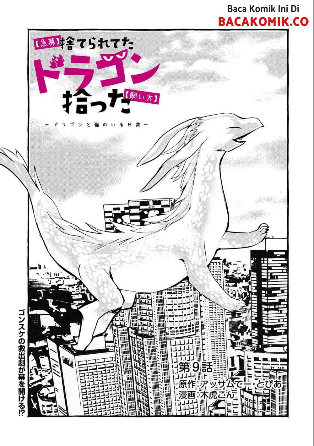 Baca  Kyuubo: Suterareteta Dragon Hirotta Chapter 09 Gambar 2