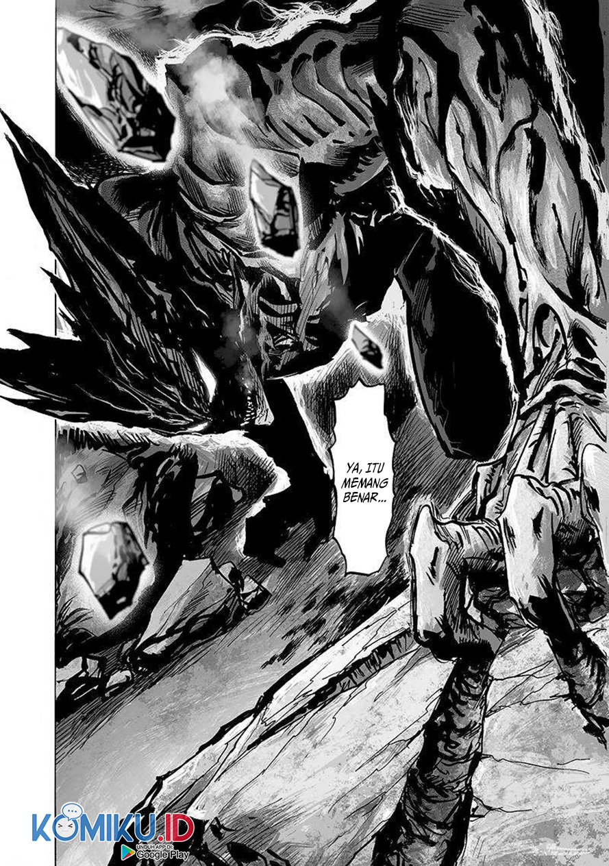 One Punch Man Chapter 190 14