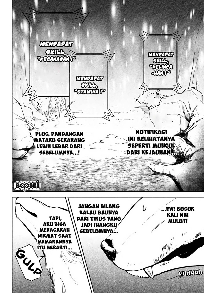 Virus Tensei kara Isekai Kansen Monogatari Chapter 02.1 Gambar 8