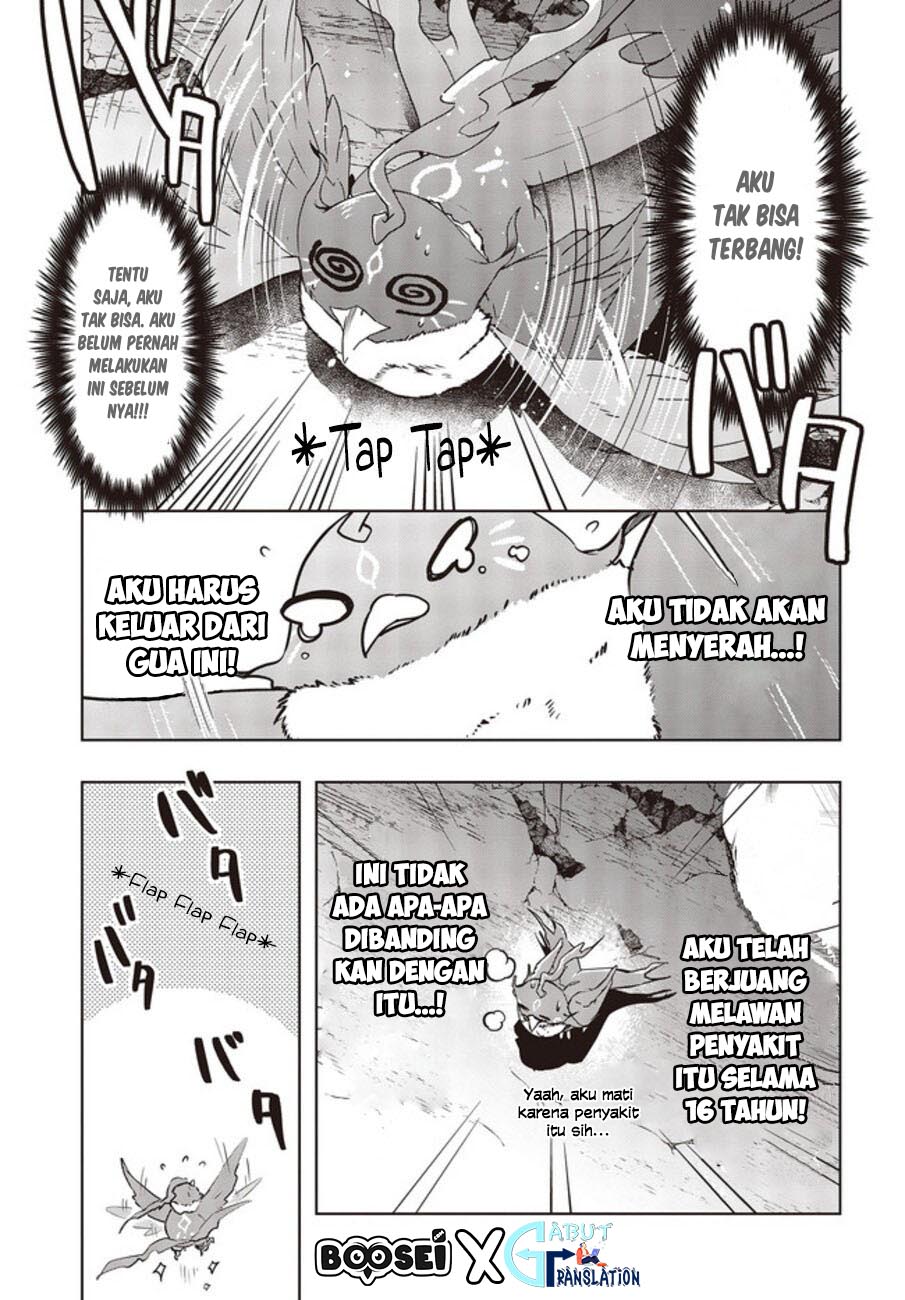 Fushichou e no Tensei: Dragon Taoseru tte Futsuu no Tori ja nai yo ne? Chapter 02 Gambar 14