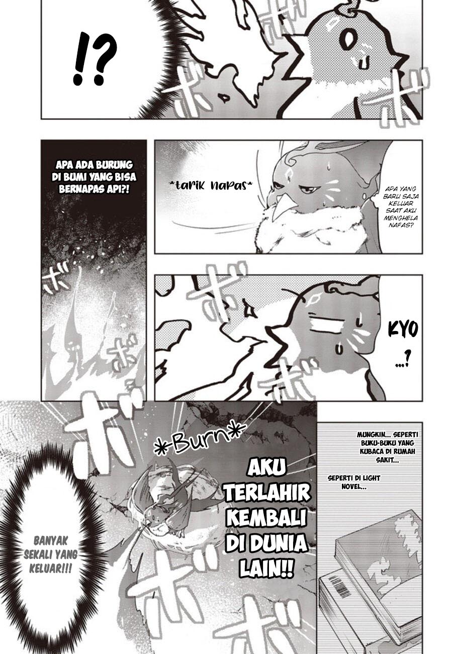 Fushichou e no Tensei: Dragon Taoseru tte Futsuu no Tori ja nai yo ne? Chapter 02 Gambar 18