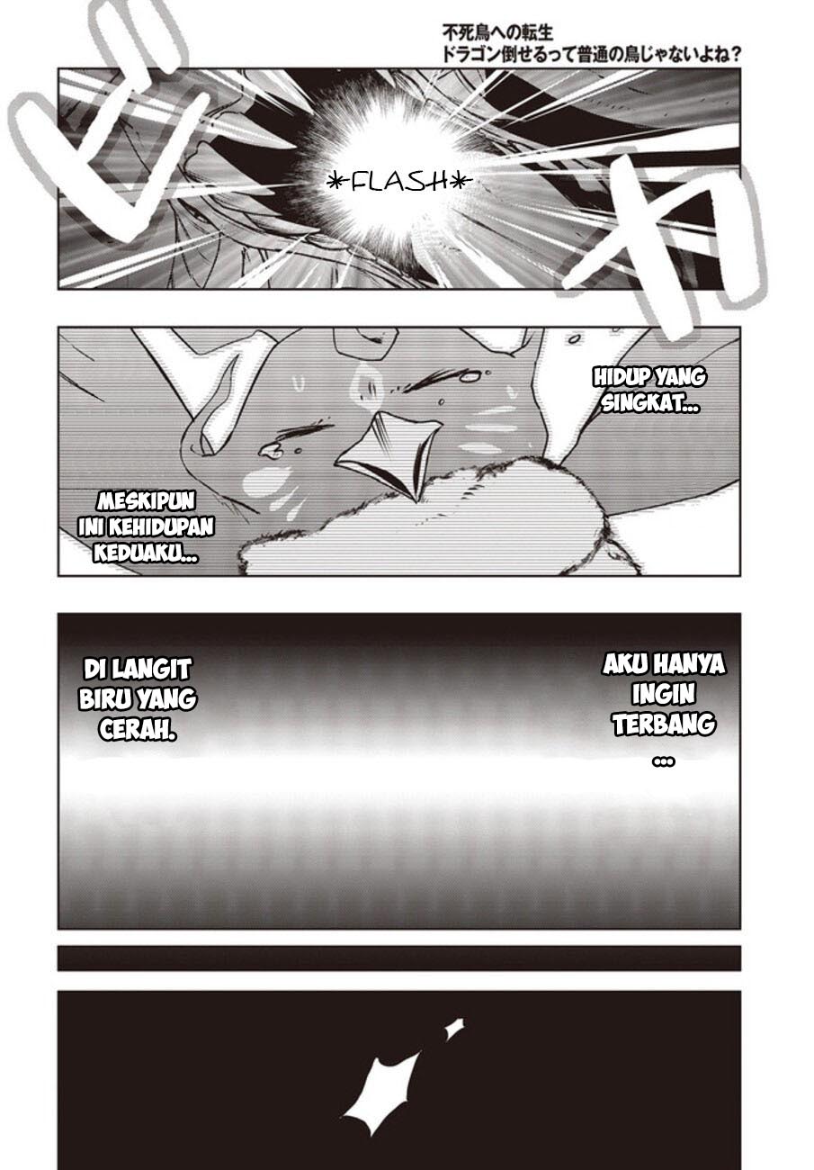 Fushichou e no Tensei: Dragon Taoseru tte Futsuu no Tori ja nai yo ne? Chapter 02 Gambar 27