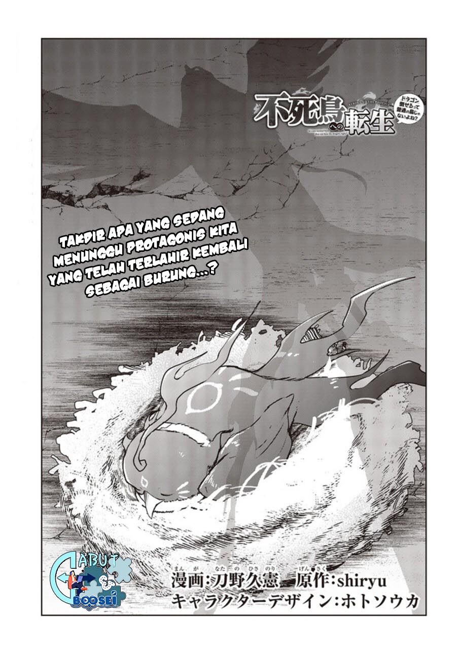 Fushichou e no Tensei: Dragon Taoseru tte Futsuu no Tori ja nai yo ne? Chapter 02 Gambar 4