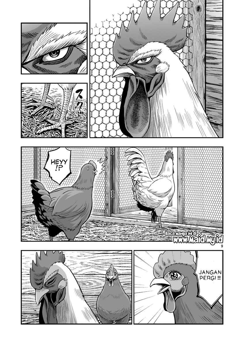 Rooster Fighter Chapter 01 Gambar 11