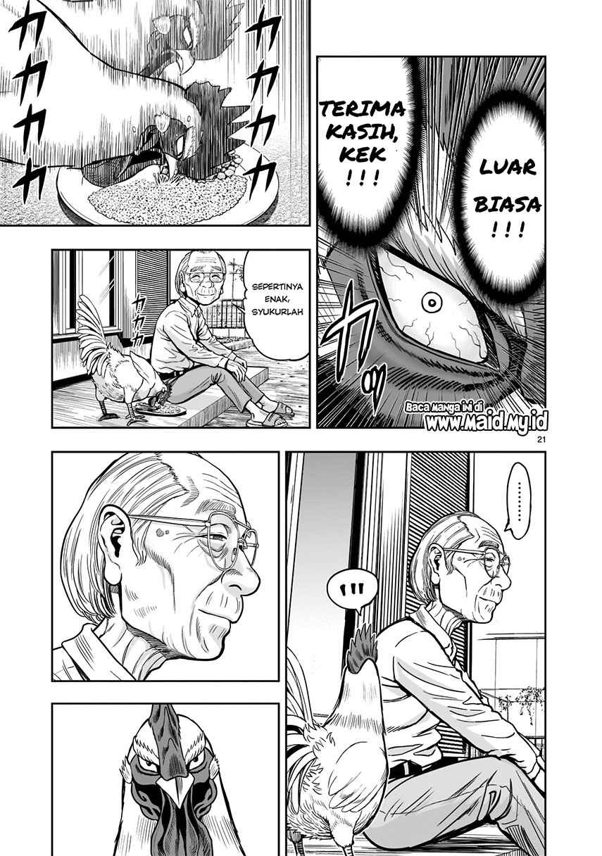Rooster Fighter Chapter 01 Gambar 23