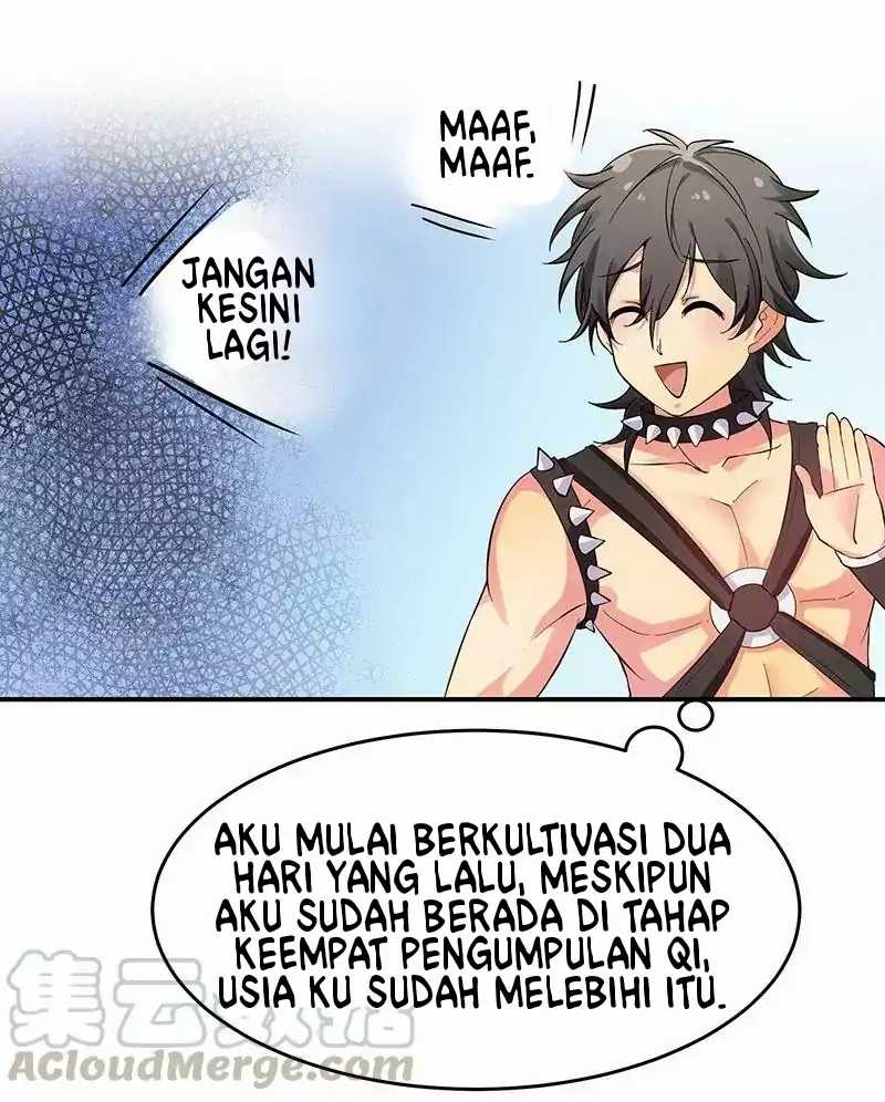 All Female Cultivators Want To Sleep With Me Chapter 3 Gambar 41