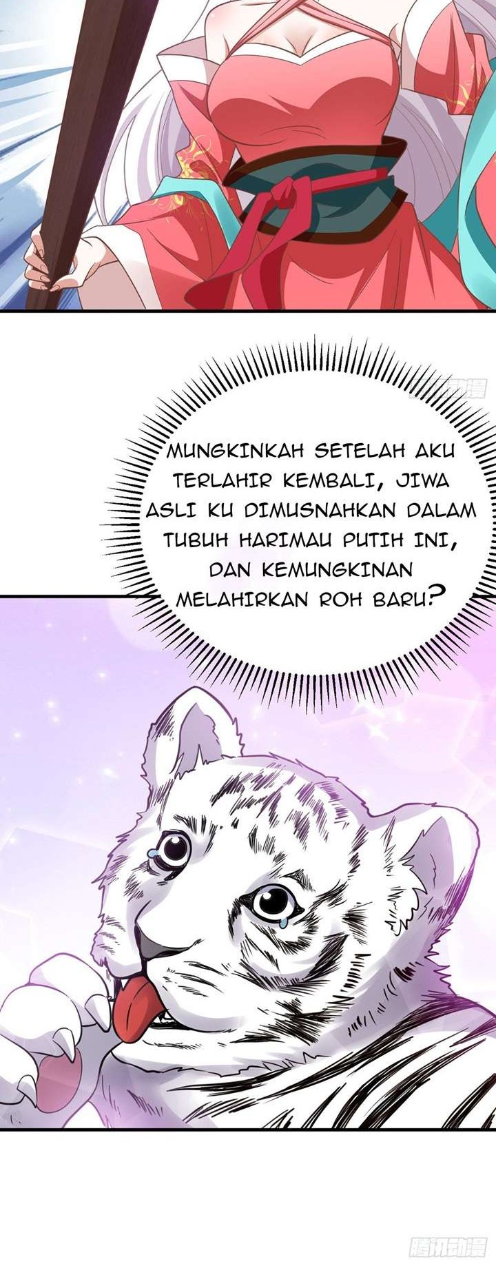Rebirth of the Cute Tiger: Great General Wants to Hug Chapter 12 Gambar 5