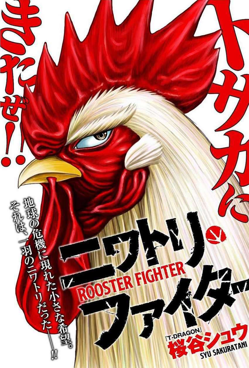 Baca Komik Rooster Fighter Chapter 06 Gambar 1