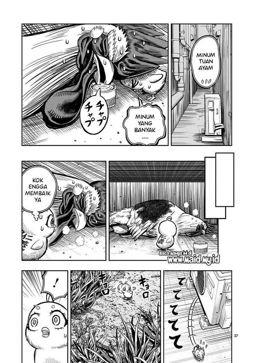 Rooster Fighter Chapter 06 Gambar 39
