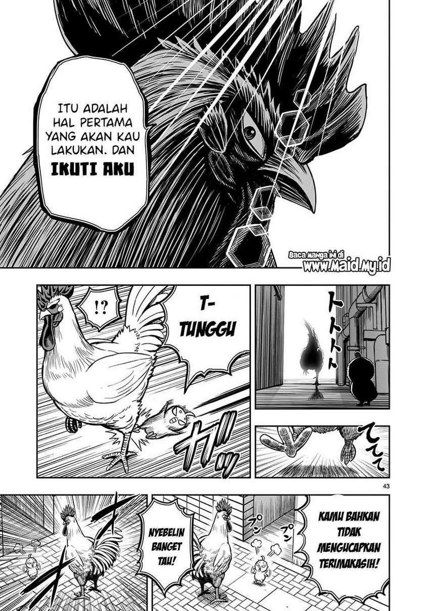 Rooster Fighter Chapter 06 Gambar 45