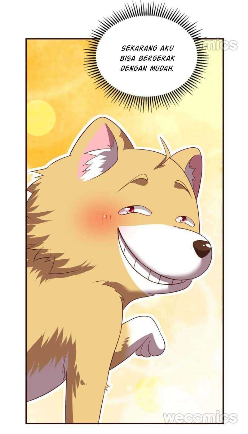 Rebirth Become a Dog Chapter 49 Gambar 11