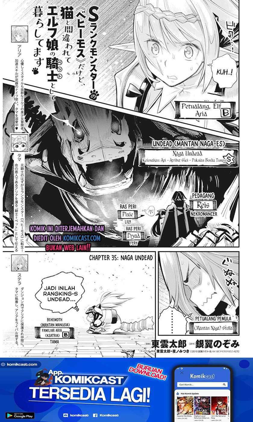 Baca S-Rank Monster no Behemoth Dakedo, Neko to Machigawarete Erufu Musume no Kishi (Pet) Toshite Kurashitemasu Chapter 35 Gambar 2