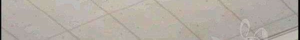Shark Chapter 195 Gambar 23