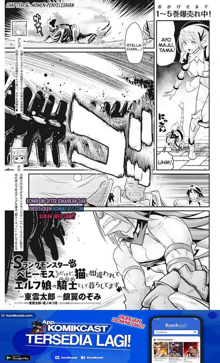 Baca S-Rank Monster no Behemoth Dakedo, Neko to Machigawarete Erufu Musume no Kishi (Pet) Toshite Kurashitemasu Chapter 36 Gambar 2