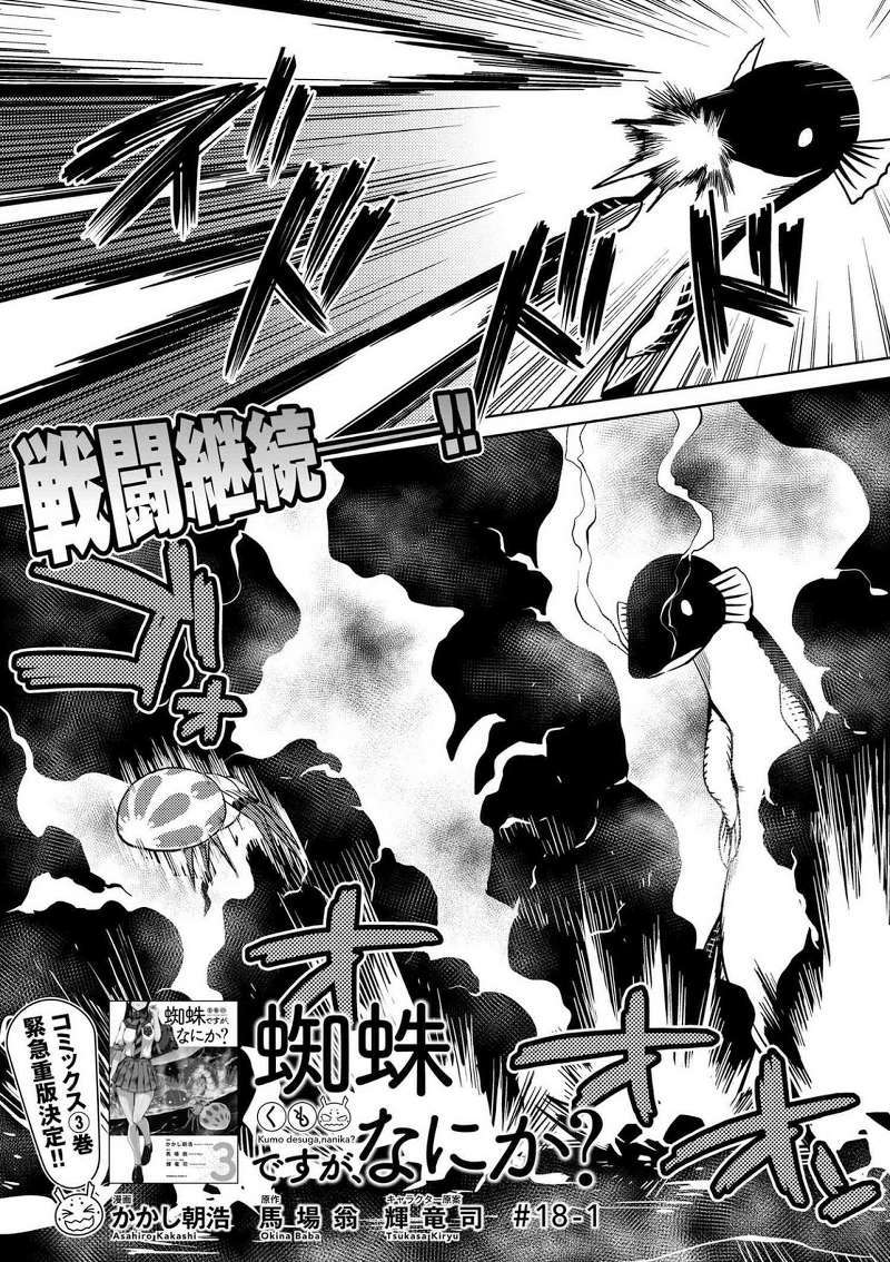 Baca  Kumo desu ga, Nani ka? Chapter 18.1 Gambar 2
