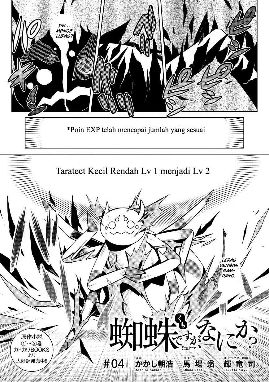 Baca  Kumo desu ga, Nani ka? Chapter 4 Gambar 2