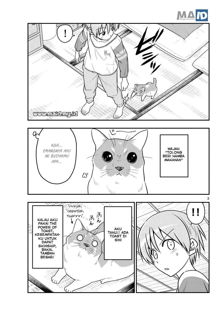 Tonikaku Kawaii Chapter 53 Gambar 7