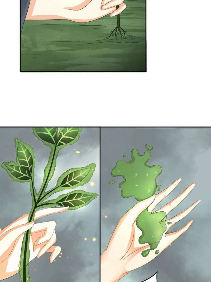 Miracle Doctor Abandoned Girl Chapter 4 Gambar 12