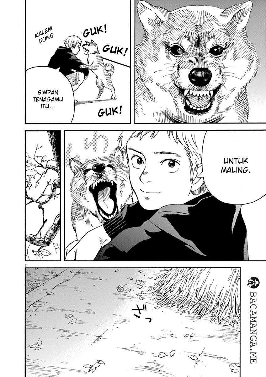 Baca Neko no Otera no Chion-san Chapter 13 Gambar 2