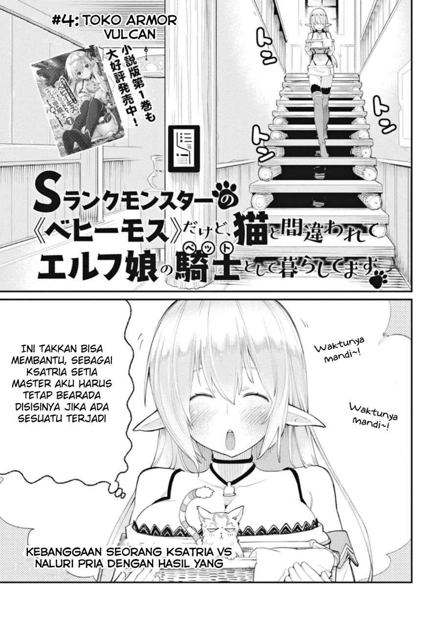 Baca S-Rank Monster no Behemoth Dakedo, Neko to Machigawarete Erufu Musume no Kishi (Pet) Toshite Kurashitemasu Chapter 4 Gambar 2