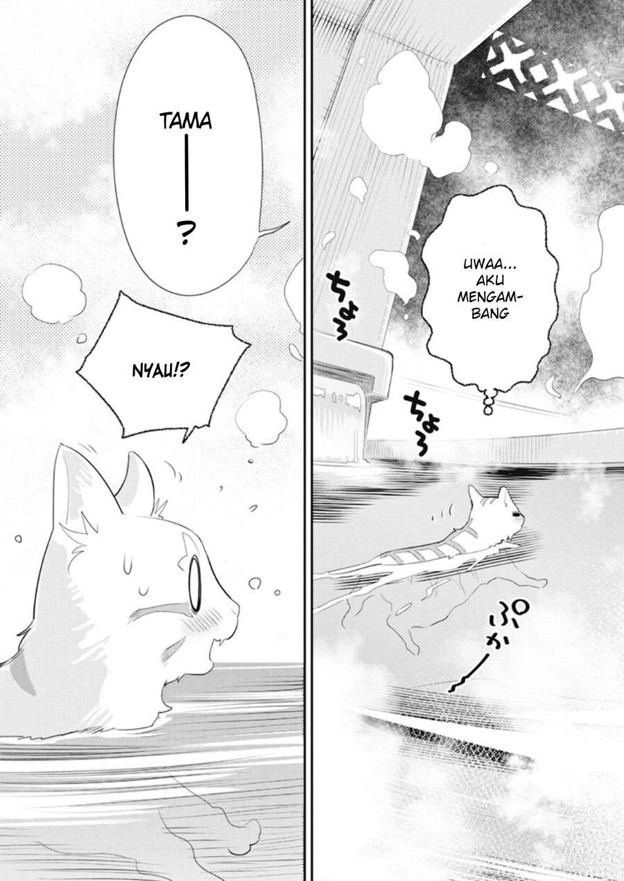 S-Rank Monster no Behemoth Dakedo, Neko to Machigawarete Erufu Musume no Kishi (Pet) Toshite Kurashitemasu Chapter 4 Gambar 6