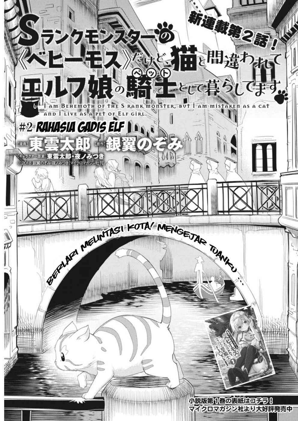 Baca S-Rank Monster no Behemoth Dakedo, Neko to Machigawarete Erufu Musume no Kishi (Pet) Toshite Kurashitemasu Chapter 2 Gambar 2