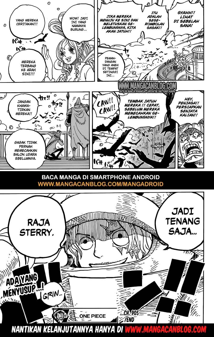 One Piece Chapter 905 Gambar 16