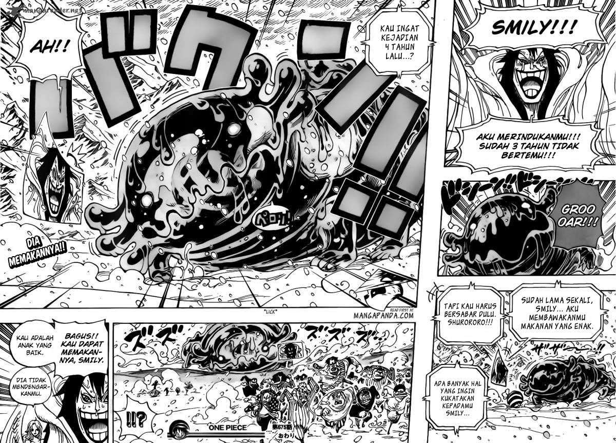 One Piece Chapter 675 19