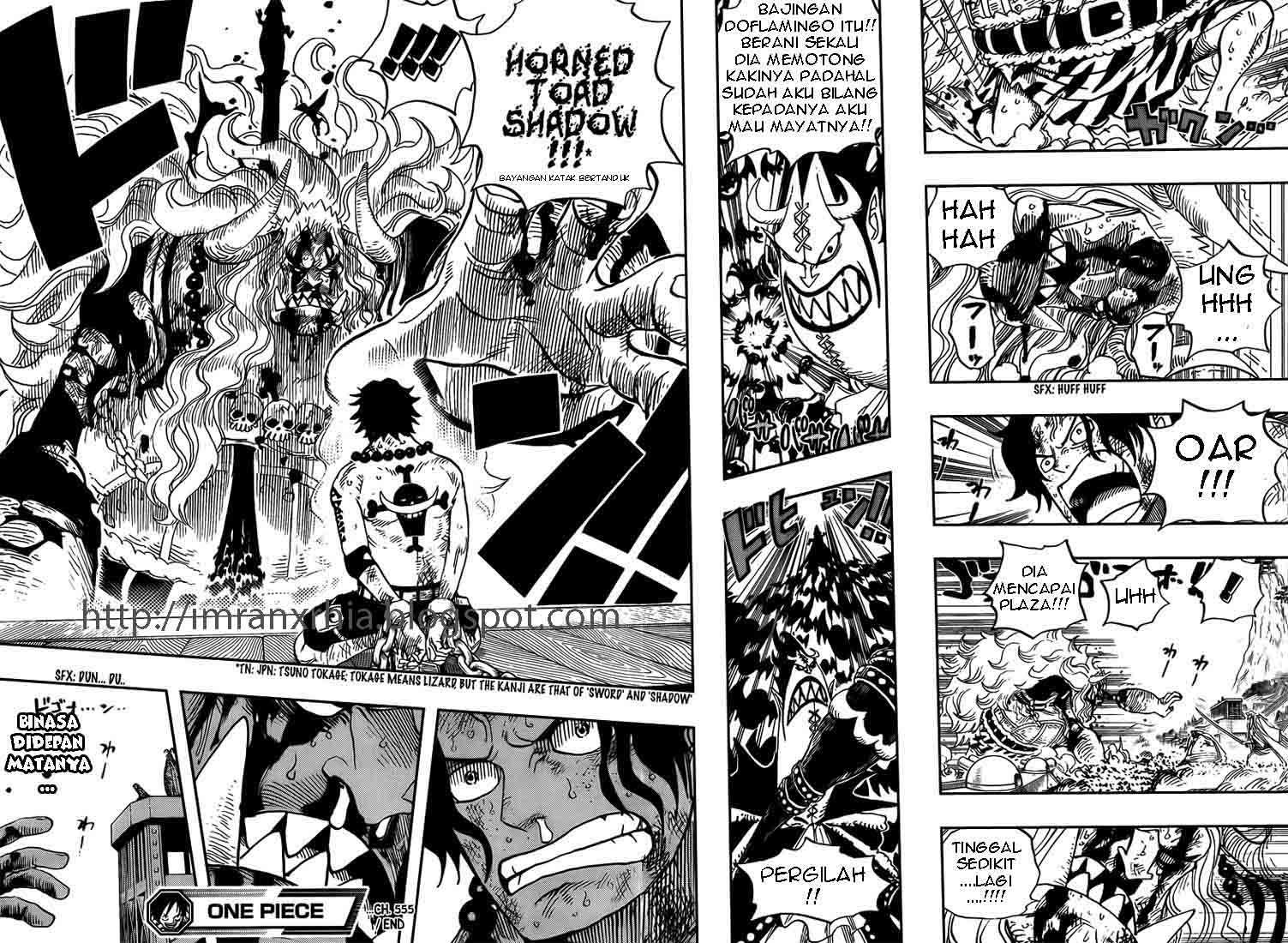 One Piece Chapter 555 11