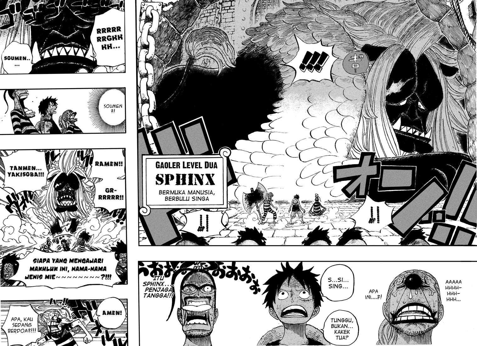 One Piece Chapter 529 11