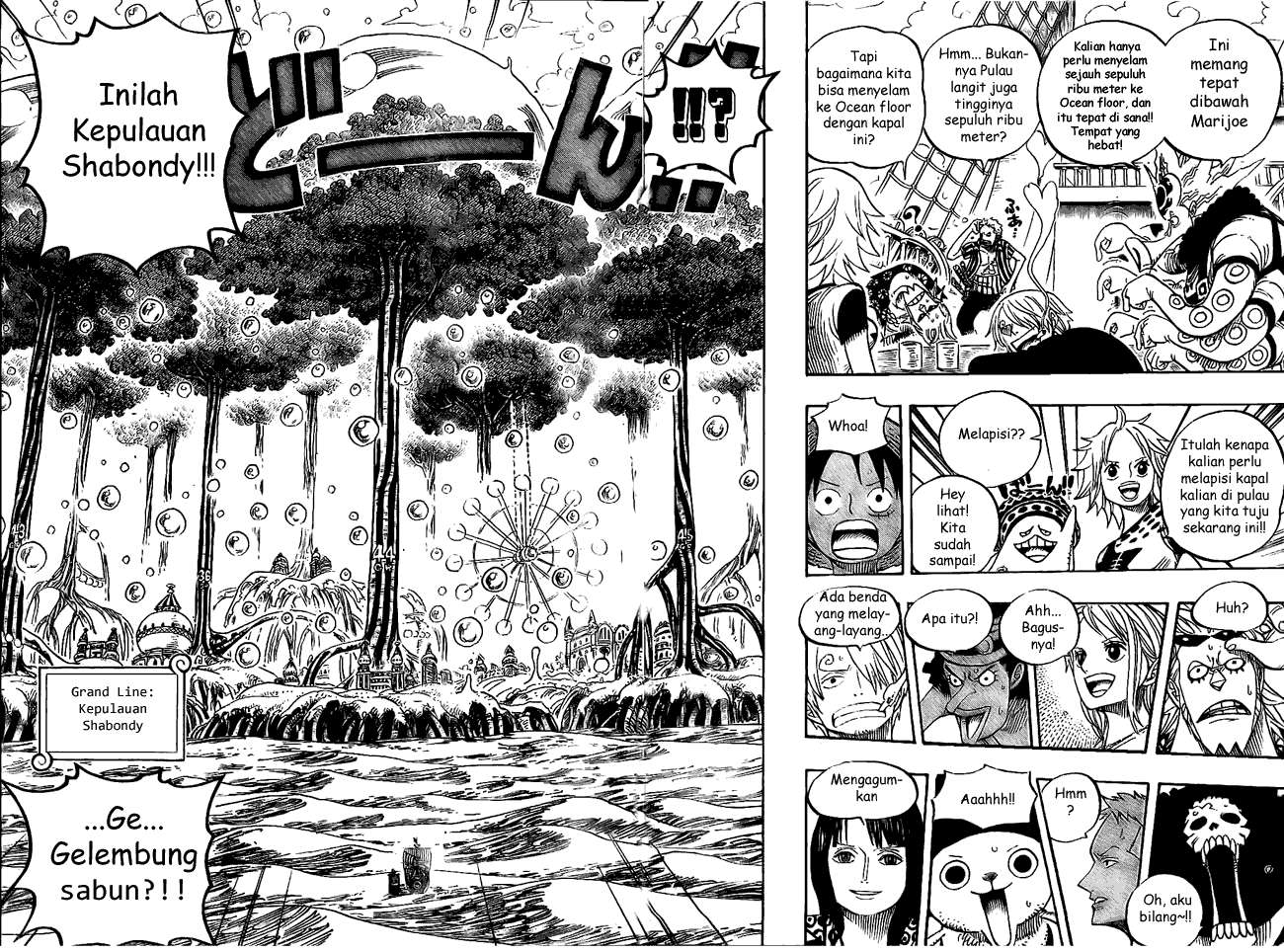 One Piece Chapter 496 12
