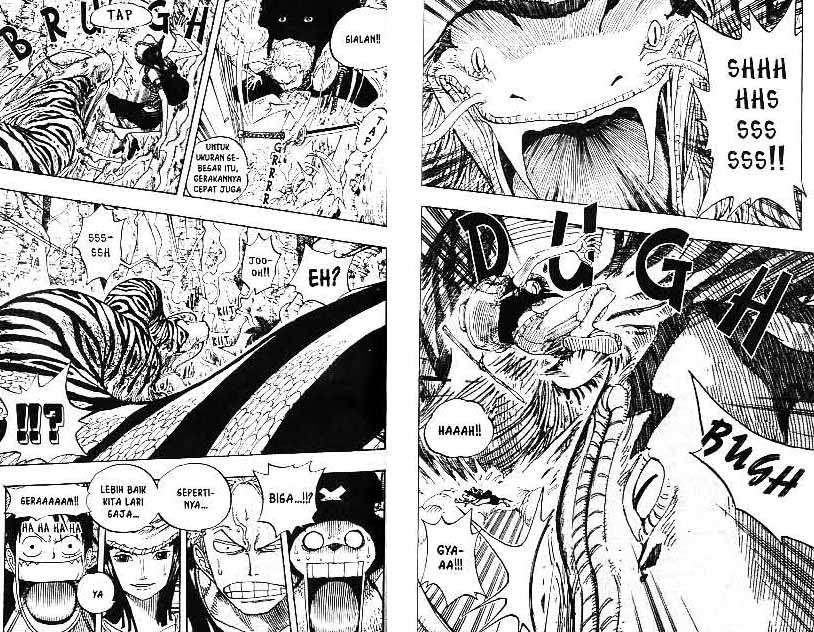 One Piece Chapter 255 Gambar 8