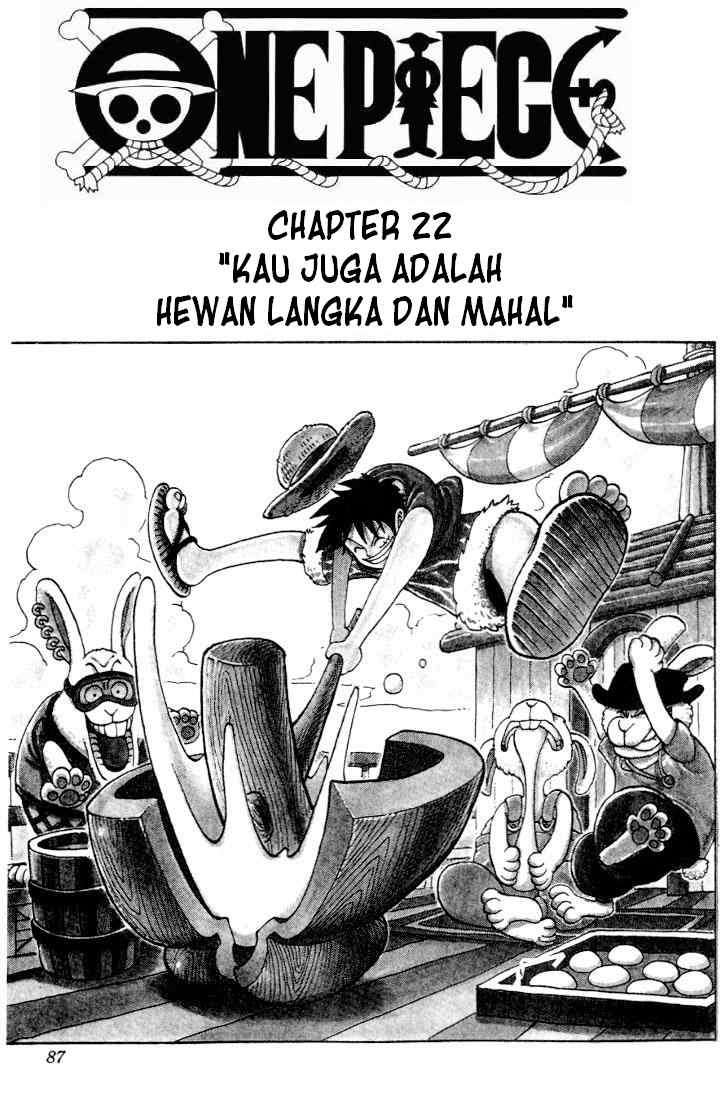 Baca Komik One Piece Chapter 22 Gambar 1