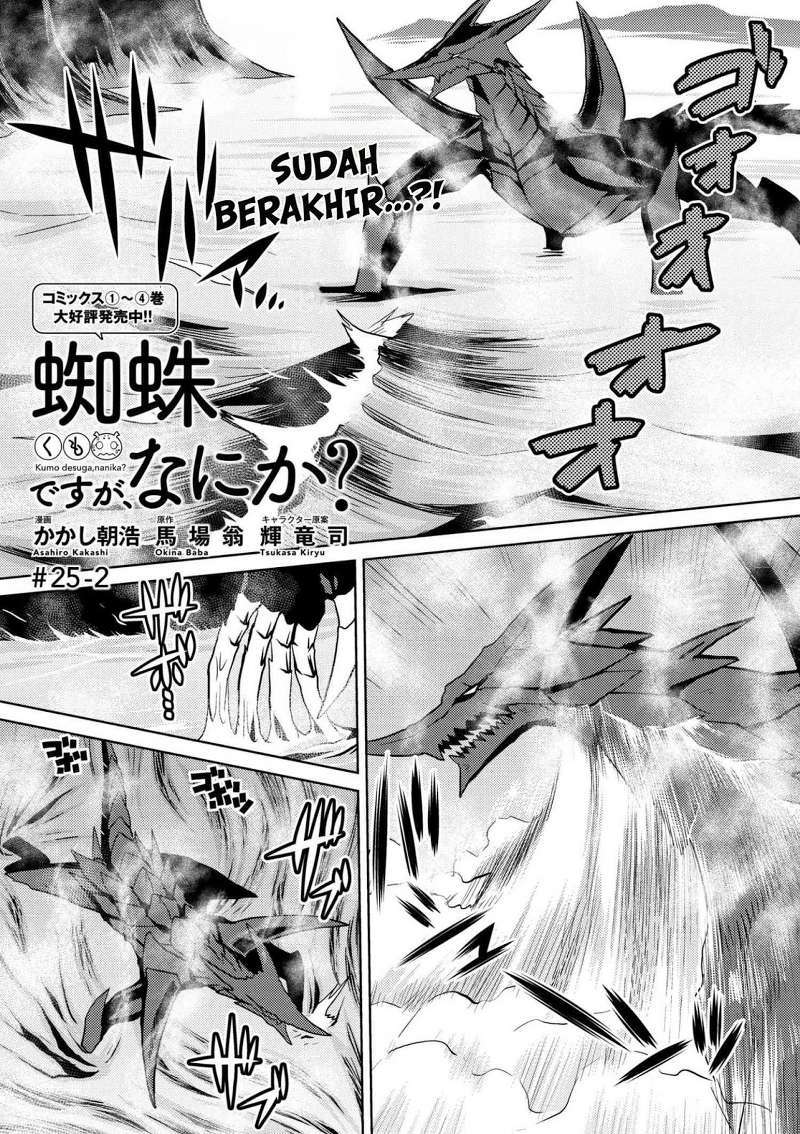 Baca Kumo desu ga, Nani ka? Chapter 25.2 Gambar 2