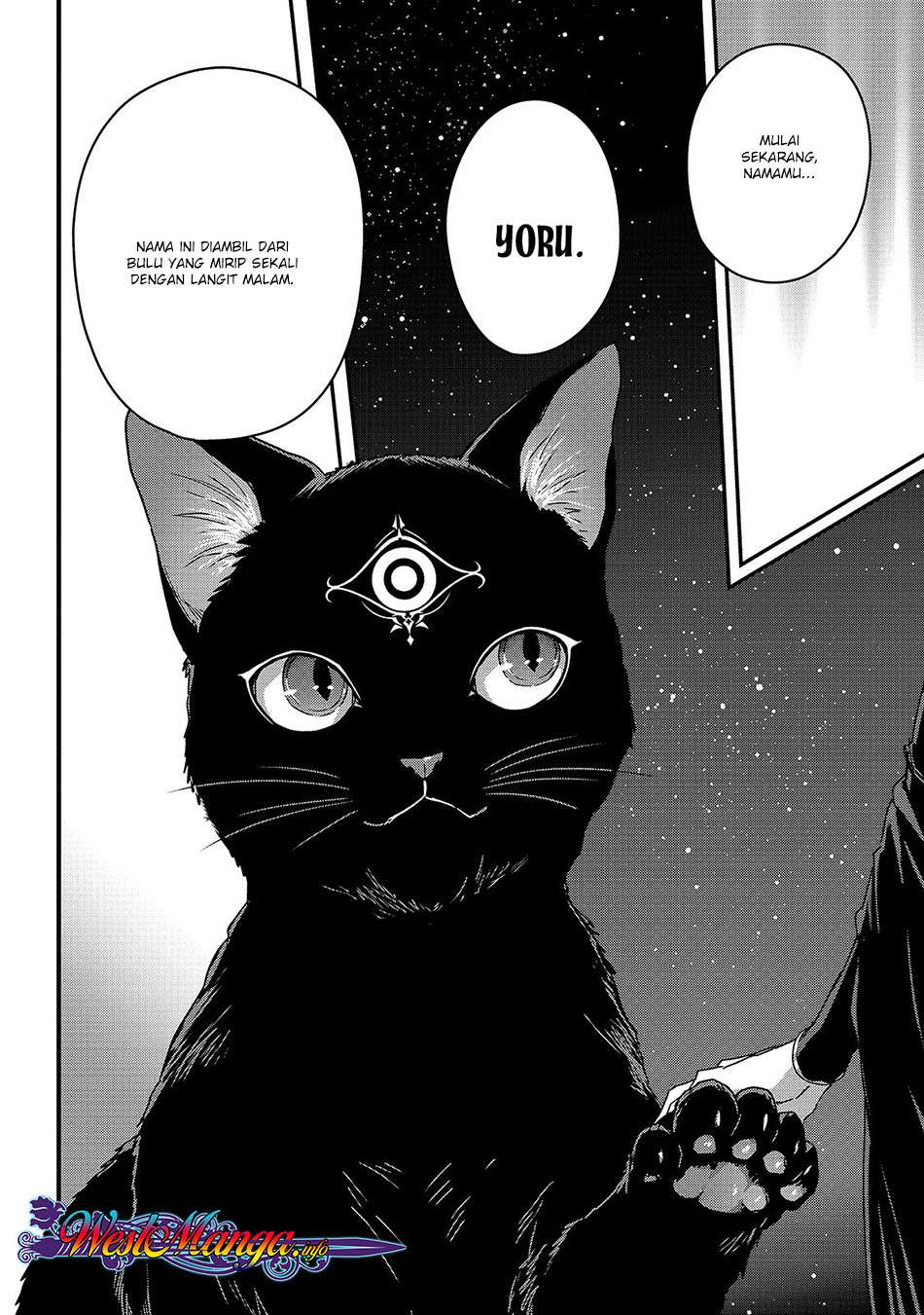 Assassin de aru ore no Sutetasu ga Yuusha yori mo Akiraka ni Tsuyoi Nodaga Chapter 11 Gambar 23